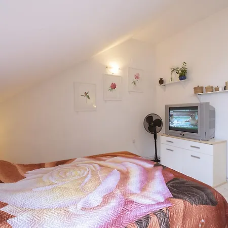 Greenslo Любляна