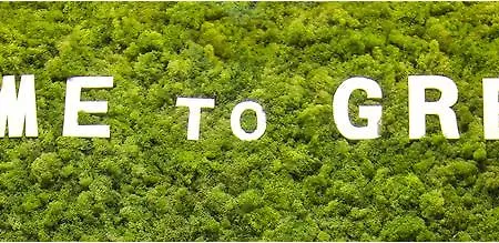 Greenslo Lejlighed *