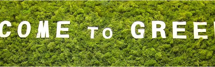 Greenslo Apartmán *